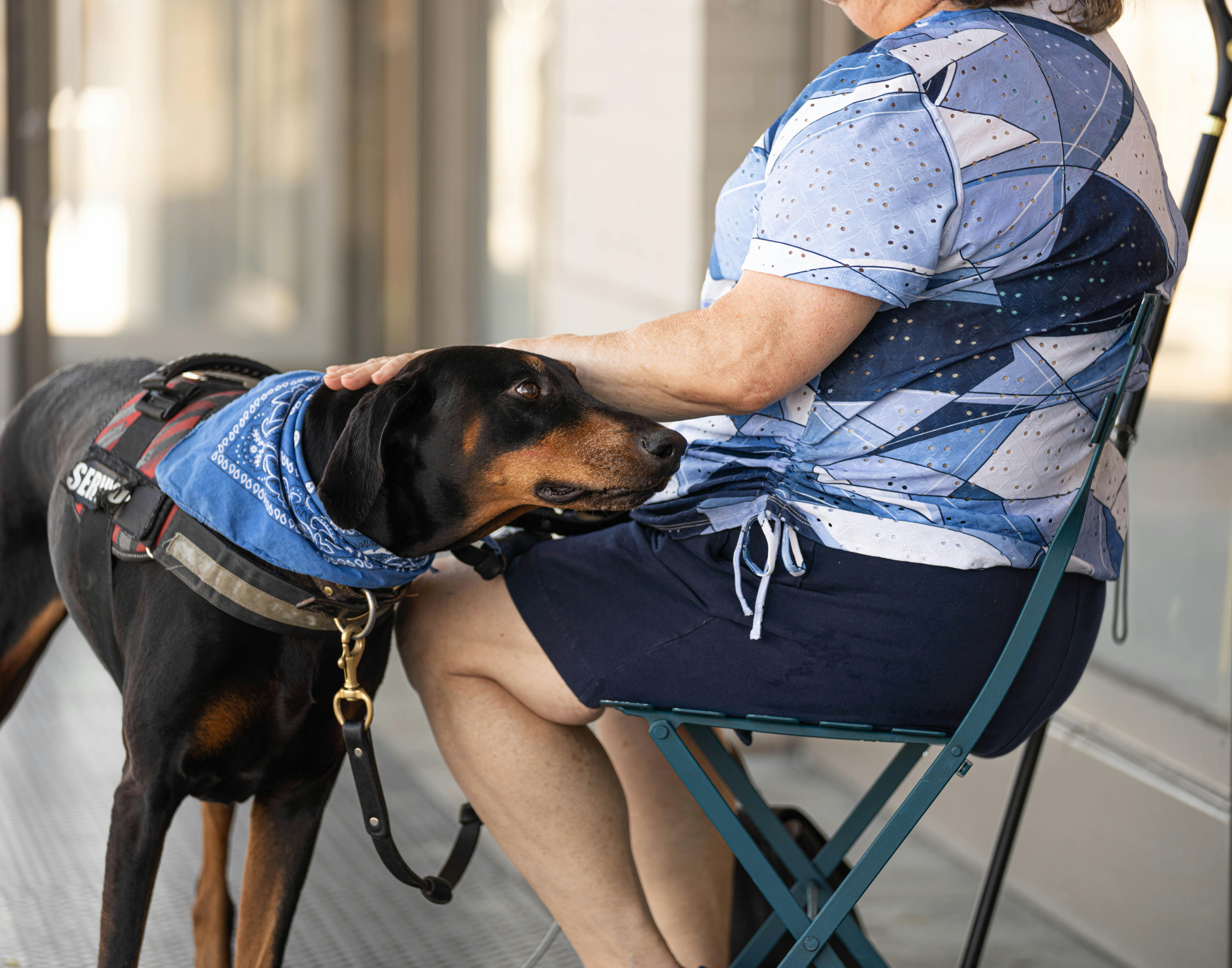 Service dog with head in woman's lap
